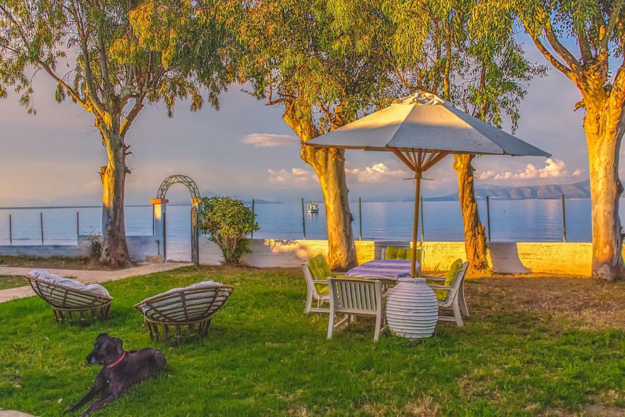 Lemami Seafront Bungalows カボス エクステリア 写真